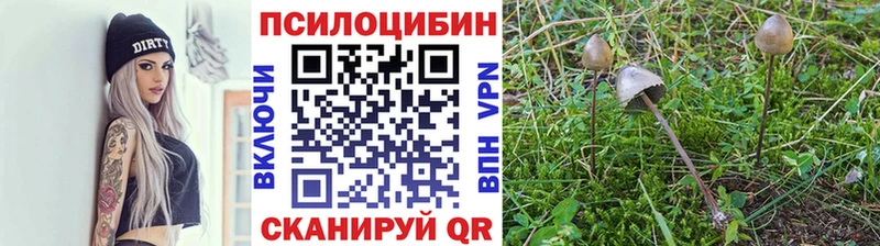 Галлюциногенные грибы мухоморы  даркнет сайт  Чайковский 