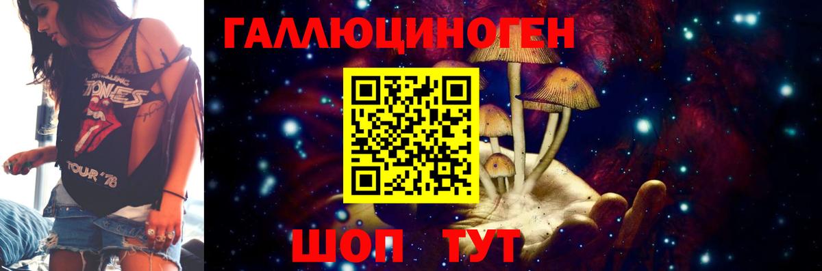 Галлюциногенные грибы Psilocybe  Вход с VPN  Чайковский 