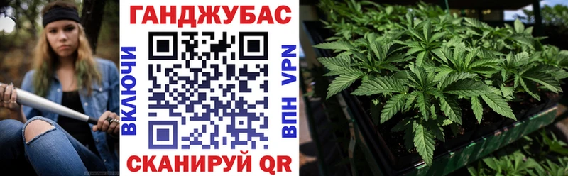 закладка  Чайковский  Бошки Шишки конопля 