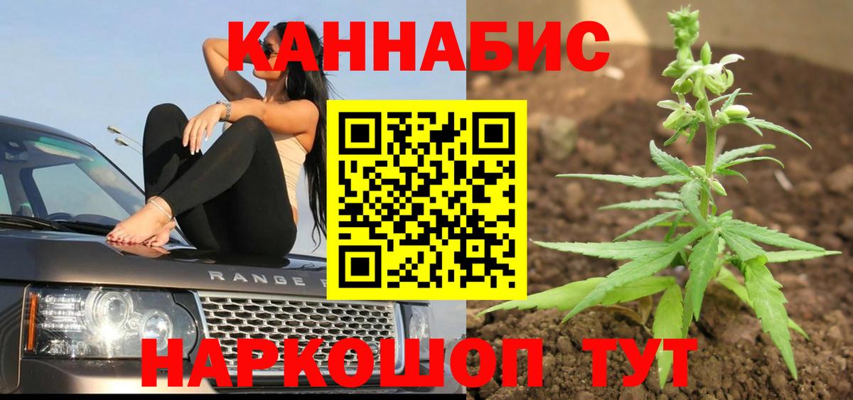 Бошки марихуана OG Kush Чайковский